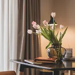 Logierhaus M Apartment