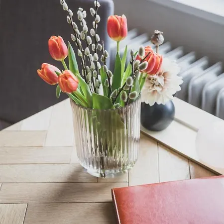 아파트 Logierhaus M *