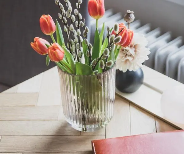 Apartman Logierhaus M *